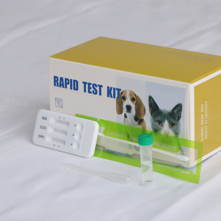 Prueba rápida de combinación de CPV Ag + CCV Ag + Giardia Ag profesional