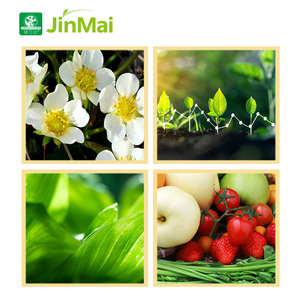 12-5-40 FE MN Zn cu B phân bón hợp chất bột hòa tan trong nước Kali cao NPK để mở rộng trái cây và tăng cường màu sắc - Product Image 5