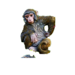 Molde de Jabón de Fibra de Vidrio con Diseño Moderno en 3D, Burrito, Burro Pequeño, Animal de Granja, Anime, para Uso en Exteriores - Product Image 5