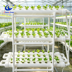 Sistema de Cultivo Hidropónico Comercial a Gran Escala de 3 Niveles, Tubería de PVC Multiusos para Producción de Forraje - Product Image 4