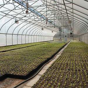 โรงเรือนเพาะปลูกพลาสติกทรงโค้งคู่ Skyplant Agriculture สำหรับปลูกพืชและเพาะชำ - Product Image 5