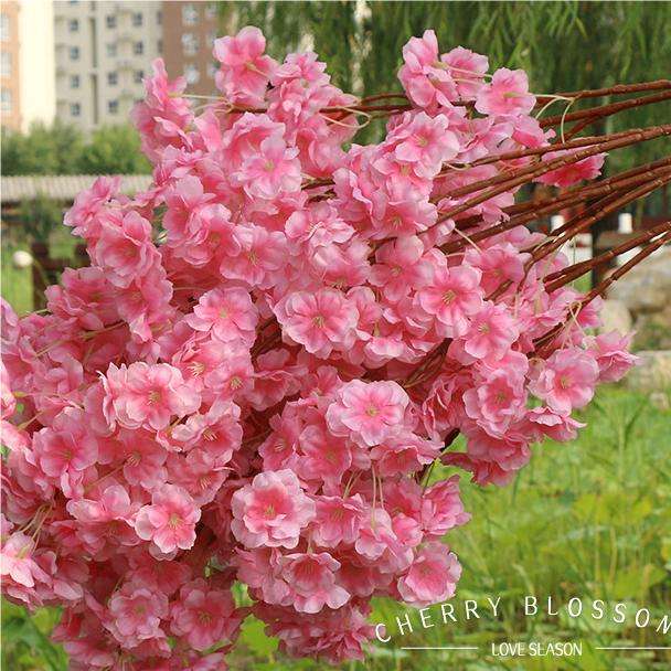 3 forcelle di crittografia rosso pesca