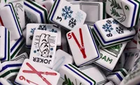 US-Style Moderner Luxus Mahjong-Set der Marke LLJ, Newport, 160 Teile, einlagig, Acryl, Pflanzen-Serie, Design für 2 Spieler, für Männer und Freunde