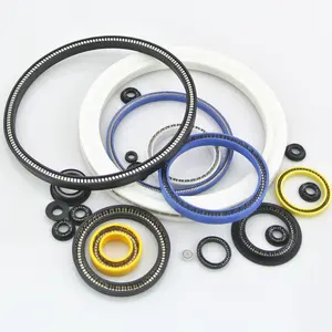 Stainless Steel 301 Endless Coil Spring Custom Made Metal Compression Spring Steel Stainless Style