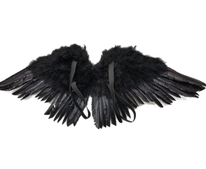 HS ปีกนางฟ้าสำหรับผู้ใหญ่ของขวัญเทศกาลคริสต์มาสชุดปาร์ตี้คอสเพลย์เต้นรำเทศกาลตกแต่งฮาโลวีน - Product Image 1