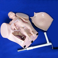 Modelo de Entrenamiento Ginecológico Avanzado, Simulador de Parto Manual para Enseñanza Médica