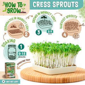Farmhouse-Classic 200g Organic Microgreens Cress Garden Sow Kit Intérieur Maison Suspension ou Utilisation de plantes au sol - Product Image 6