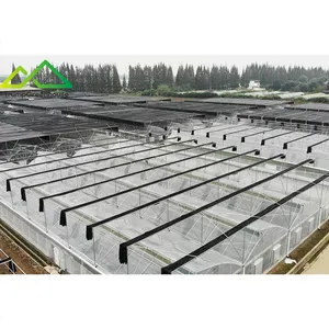 Greenhouse Manufacturer China Hot Sale Agricultural Saw Tooth Tunnel Greenhouse Plastic Film Cover and Grow Rack