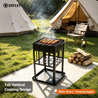 Barbecue portable à bois pour extérieur, foyer de camping pour jardin, patio, pique-nique, barbecue