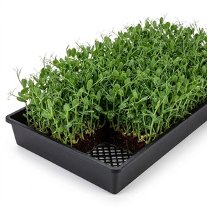 Bac de propagation noir en PP avec insert en maille amovible pour la culture de semis, hydroponie, séchage - Fabricant vietnamien - Product Image 1