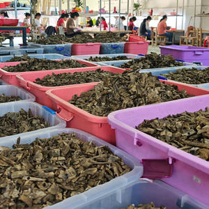 Quantité en vrac bois d'agar encens Oud parfum en gros 100% copeaux de bois naturel Oud - Product Image 5