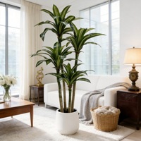 Meilleures ventes transfrontalières : Arbre artificiel 'Sang de Dragon' en tissu sérigraphié, feuillage riche, ornement décoratif d'intérieur 100-200cm