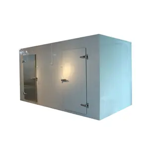 Nouvelle recherche réfrigérée PU panneaux conteneur chambre froide stockage chambre froide unité de 40 pieds