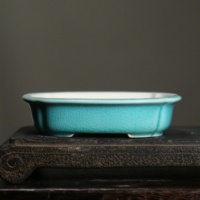 Pot à Bonsaï Artisanal en Céramique de Yixing, Best-seller