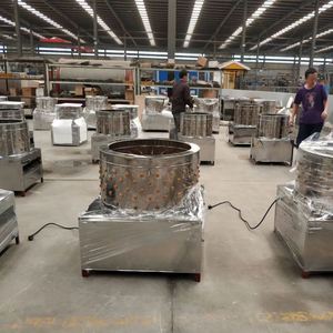 Nouvelle machine à épiler les volailles, petite et entièrement automatique, en acier inoxydable, pour épiler les oies, les pigeons, les poulets et les canards - Product Image 5