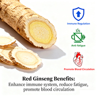Bandes orales d'énergie de ginseng rouge de 100mg de logo personnalisé de film oral Fabricant de suppléments de films minces oraux à base de plantes