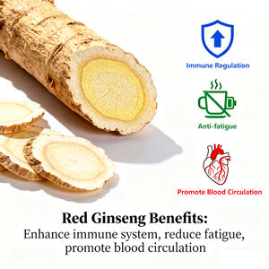 カスタムロゴ100mg赤人参エネルギー経口ストリップ経口フィルムハーブ経口薄いフィルムサプリメントメーカー - Product Image 4