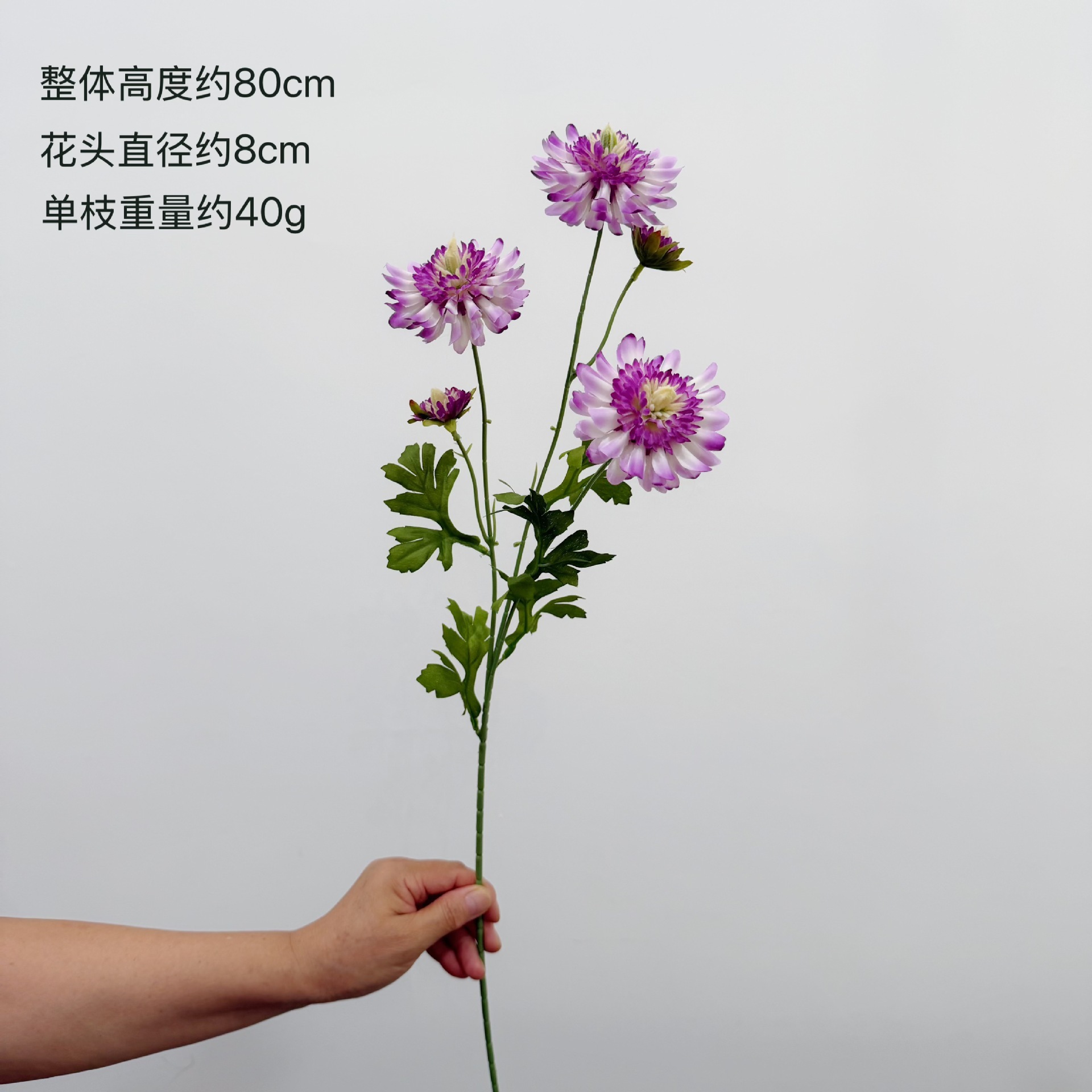 crisantemi [viola chiaro]