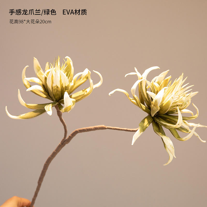 Dragon Claw Blue/green