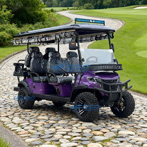 Carro de golf eléctrico todoterreno de 6 plazas para caza y turismo en venta. Transporte especial / Vehículo eléctrico. - Product Image 5