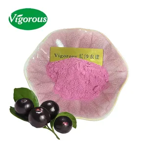 Good Quality Free Sample Factory Supply Euterpr Oleracea Extract Acai Berry Extract Powder