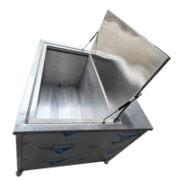 Pulitore a Ultrasuoni Personalizzato con Sistema di Sollevamento Automatico, Grado Industriale per Filtri DPF - Dimensioni 1200 X 1100 X 700mm