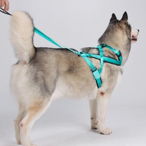 Harnais de traction pour chien, laisse de course en extérieur, corde de sécurité pour voiture, pour grands chiens Husky <span class=keywords><strong>Alaskan</strong></span> Malamute - Product Image 6