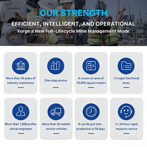 כורי אבן כורת גלשן כפולה הניתנת להתאמה אישית גלשן מלבן מכונת פחם אבן גיר לבן רולר כפול - Product Image 6