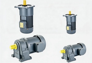 Motorreductor Eléctrico Trifásico de 750W, 220V, 380V, 415V, 50/60Hz CA, Motor de Engranajes Pequeño de CA - Product Image 3