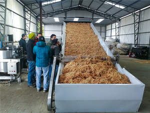 Essiccatore ad Alta Efficienza per Muschio Verde Cileno/Macchina per Disidratazione Muschio Sphagnum - Product Image 3