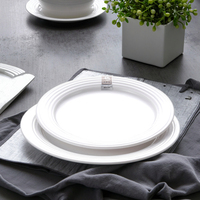 Plaque en acétate de portable, assiette blanche en mélamine de qualité européenne bon marché