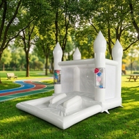 Château gonflable en PVC couleur personnalisée, mini-glissades, jeux de plein air, piscines à balles, ballons flottants, bulle commerciale