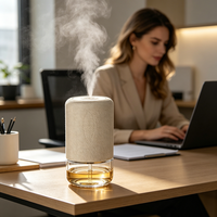 Diffuseur d'huiles essentielles sans eau pour salon, machine à diffusion d'air froid pour décoration de bureau et maison, aromathérapie en gros