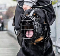 USMILEPET Direct usine Muselière pour chien en cuir et métal, robuste, type panier en fil métallique, pour grands chiens, pour le travail et l'entraînement