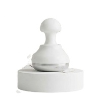 Martillo Frío de Acero Inoxidable 304 de Grado Médico, Masajeador Facial Criogénico con Globo de Hielo, Paquete de Hielo para Crioterapia, Almacenamiento de Cristales de Hielo para el Cuidado de la Piel