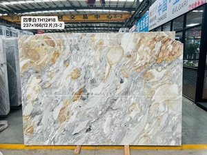 אבן שיש לבנה ארבע עונות, בסיס לבן טבעי עם ורידים אפור-זהובים, עיצוב מודרני, משמשת למשטחי מטבח חיצוניים ווילות. - Product Image 4