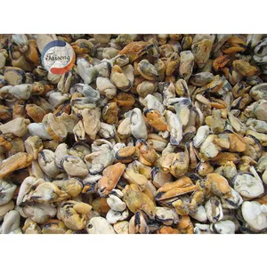 frozen live shellfish without shell green mussel meat