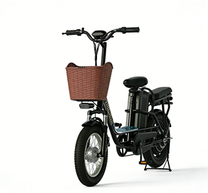 Vélo électrique 48V, moteur sans balais 250W, roues de 16 pouces, freins à disque, batterie au lithium, vélo électrique pour usage urbain - Product Image 5