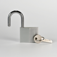 Cadenas léger en aluminium avec cylindre en laiton, 2 clés en laiton, durable, écologique, antivol, étanche IP65, pour salle de sport