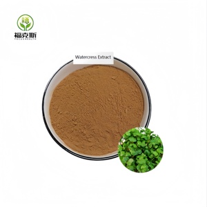 מזון אורגני כיתה 10:1 מים תמצית אבקת חם מכירת צמח טהור תבלין וקליפת תוספת מינימום הזמנה 1 ק "ג - Product Image 3