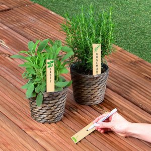 Vente <span class=keywords><strong>en</strong></span> gros de marqueurs de germination <span class=keywords><strong>en</strong></span> bambou, piquets de germination personnalisés pour les herbes et le <span class=keywords><strong>potager</strong></span>, outil à main de jardin parfait pour maman - Product Image 6