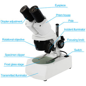 <span class=keywords><strong>Microscope</strong></span> stéréo binoculaire à LED 20X/40X avec oculaires WF10X (B2.214C) - Product Image 6