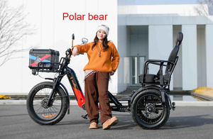 Tricycle à 3 roues de haute qualité, 24 pouces, 7 vitesses, à bas prix, avec double moteur, pour le transport de marchandises, tricycle <span class=keywords><strong>moto</strong></span> - Product Image 5