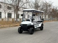 Voiturette de golf électrique 6 places, buggy de club de chasse, certifiée CE, vitesse maximale de 30 km/h