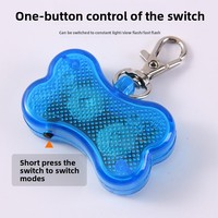 Pendentif lumineux en PVC en forme d'os de luxe, anti-perte, avec étiquette d'identification pour chiens et chats, lumière LED clignotante pour sac à dos d'animal de compagnie