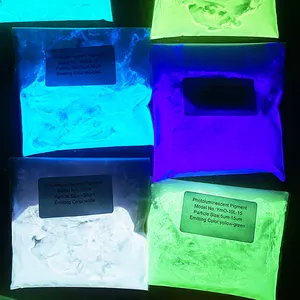 Fast Light Absorption Photoluminescent Pigment Powder White Glow In The Dark Pigment Powder For Paint