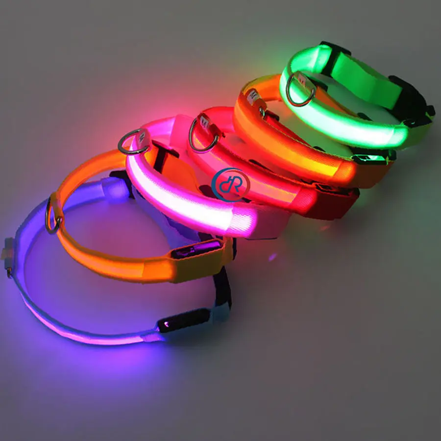 Supporto Premium ricaricabile Glow Light Up Led collare per cani da compagnia, collari per cani a Led per addestramento di gatti per animali domestici campione gratuito