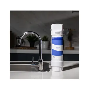 Oem/odm cucina in acciaio inox rubinetto filtro acqua depuratore acqua rubinetto diretto depuratore di acqua potabile