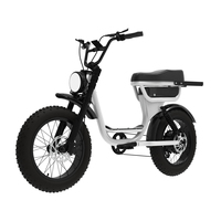 Nouveau Vélo Électrique Vintage Rétro 2025, Moped 52V 1000W, Fourche à Double Suspension, Siège Long Fatboys, Pneus Gras, 50KM/H, Vélo Électrique