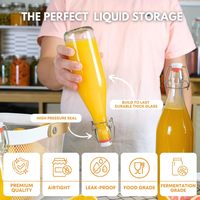 Bouteilles en verre cylindriques FastRack à ouverture pivotante/à bascule, 16 oz (500 ml), lot de 2 |   Couvercles hermétiques |   Huile d'olive réutilisable Kombucha |   Gratuit